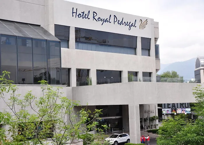 Royal Pedregal